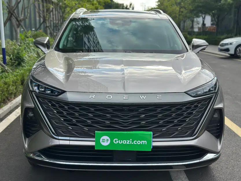 Roewe RX9 2023 2.0T Two-Wheel Drive Enjoyment Version — миниатюра 13