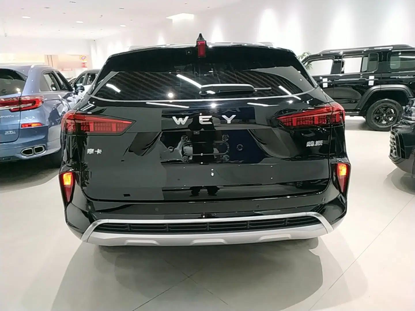 Wey Mocha 2021 2.0T Four-Wheel Drive Premium Edition — миниатюра 5