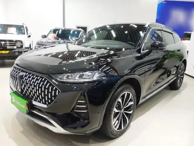 Wey Mocha 2021 2.0T Four-Wheel Drive Premium Edition