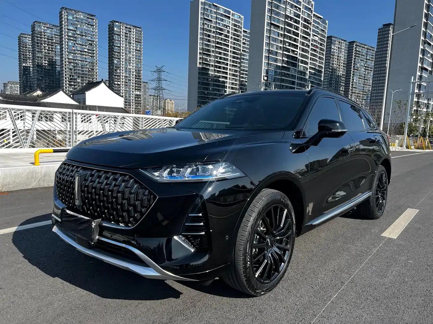 Wey brand Mocha 2021 2.0T 2WD Special Edition — миниатюра 3