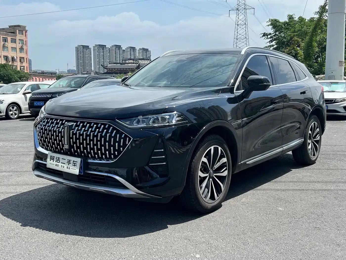 Wei brand Mocha 2021 2.0T 2WD Extra Rich Edition — миниатюра 1