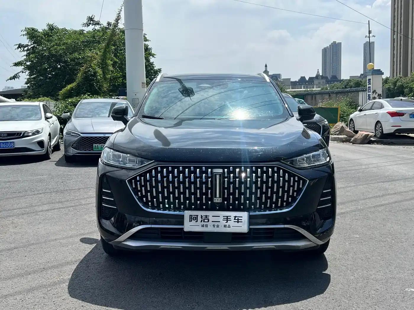 Wei brand Mocha 2021 2.0T 2WD Extra Rich Edition — миниатюра 2