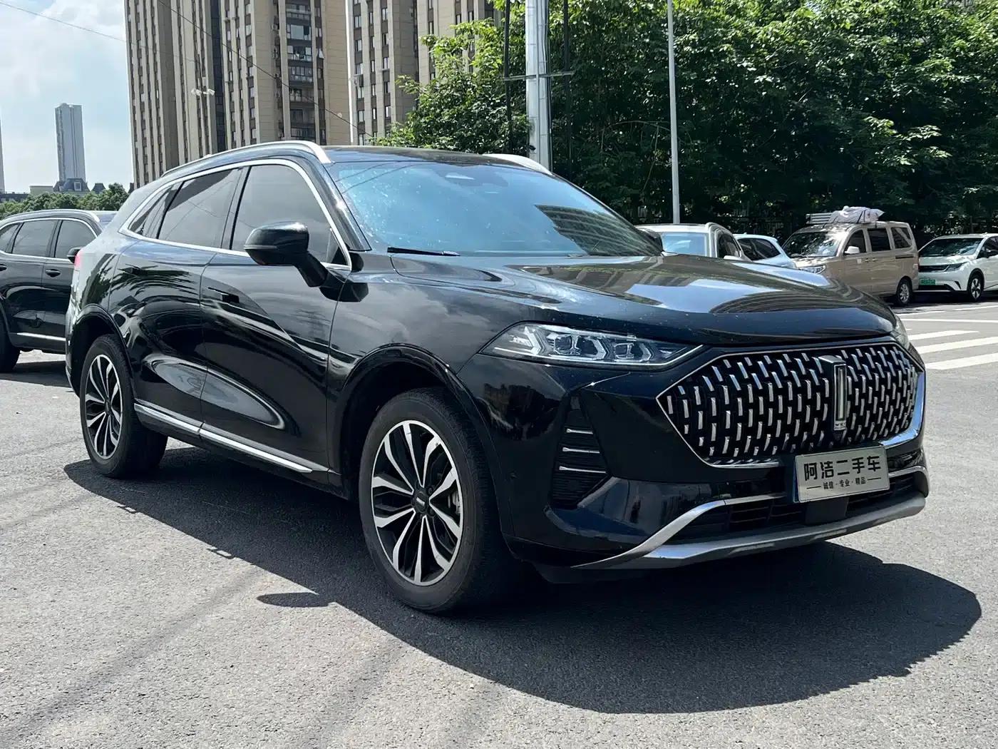 Wei brand Mocha 2021 2.0T 2WD Extra Rich Edition — миниатюра 3