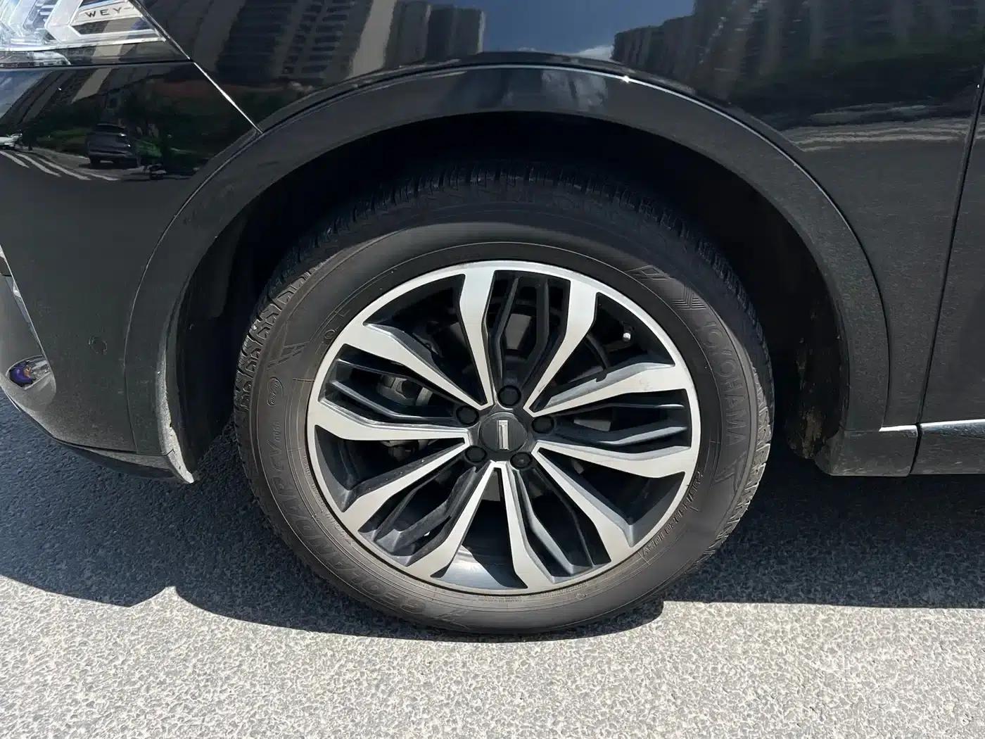 Wei brand Mocha 2021 2.0T 2WD Extra Rich Edition — миниатюра 30