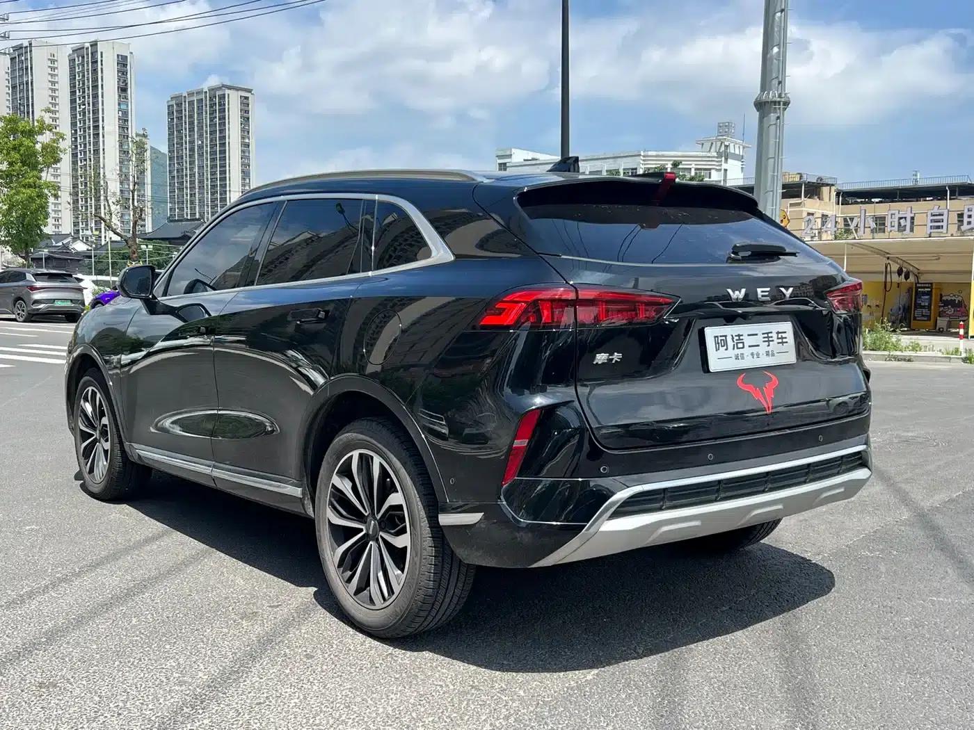 Wei brand Mocha 2021 2.0T 2WD Extra Rich Edition — миниатюра 5