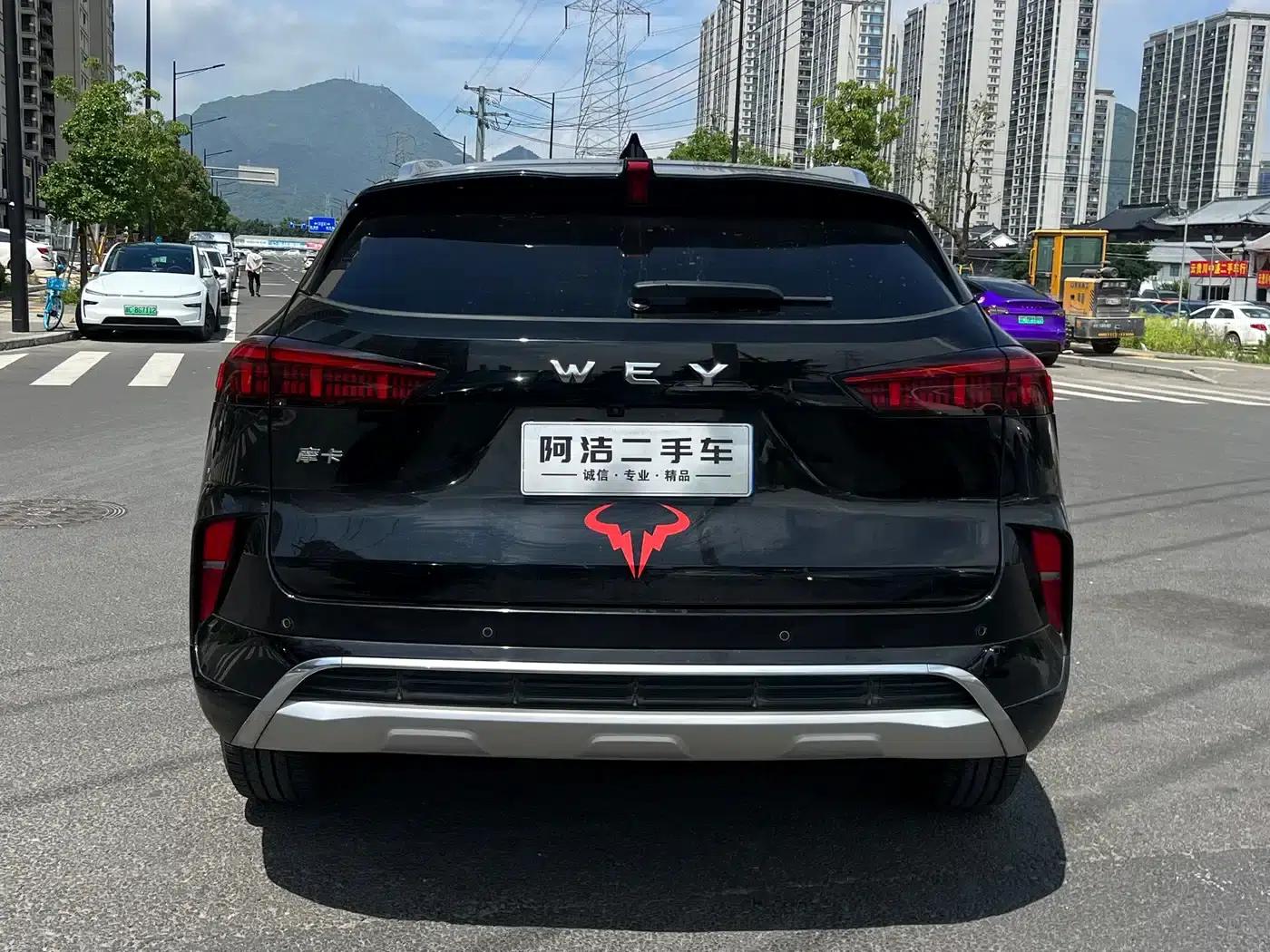 Wei brand Mocha 2021 2.0T 2WD Extra Rich Edition — миниатюра 6