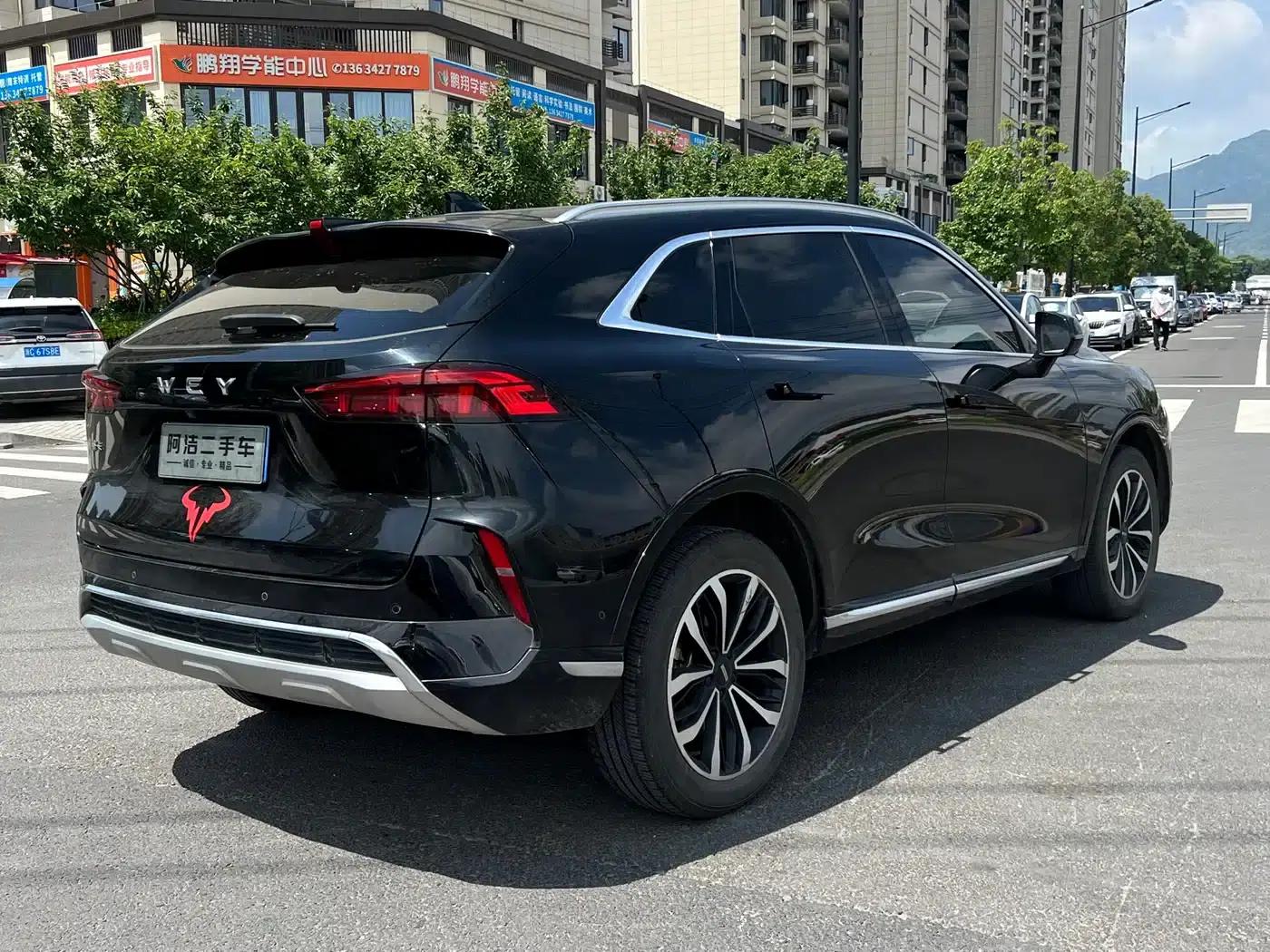 Wei brand Mocha 2021 2.0T 2WD Extra Rich Edition — миниатюра 7