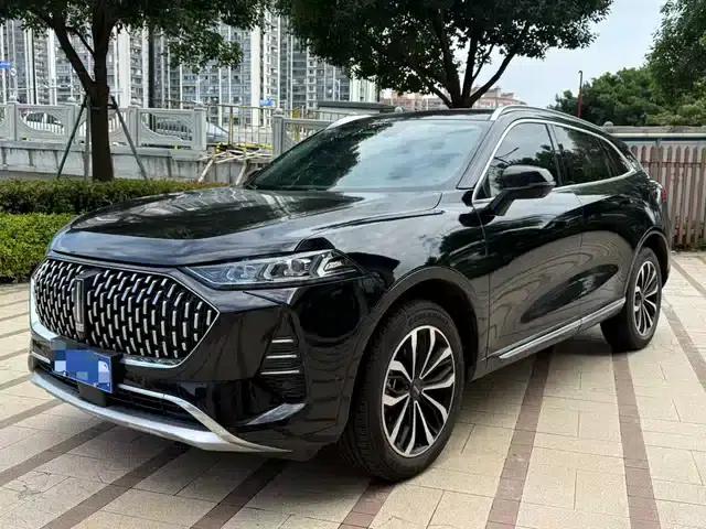 Wey brand Mocha 2021 2.0T 2WD Special Edition