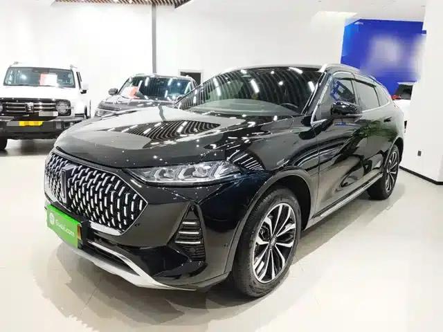 Wey brand Mocha 2021 2.0T 4WD Special Edition