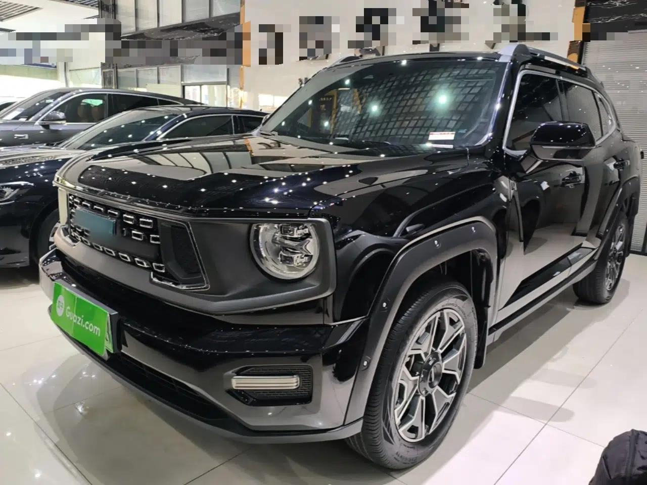 Haval H Dog New Energy 2023 DHT-PHEV 105km Tide Electric Version Plus — миниатюра 1