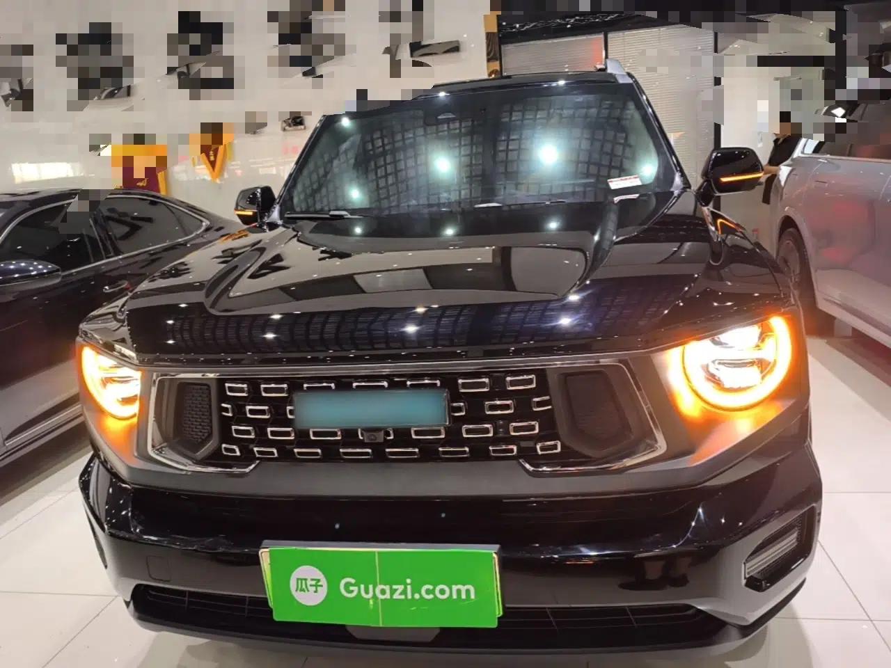 Haval H Dog New Energy 2023 DHT-PHEV 105km Tide Electric Version Plus — миниатюра 2