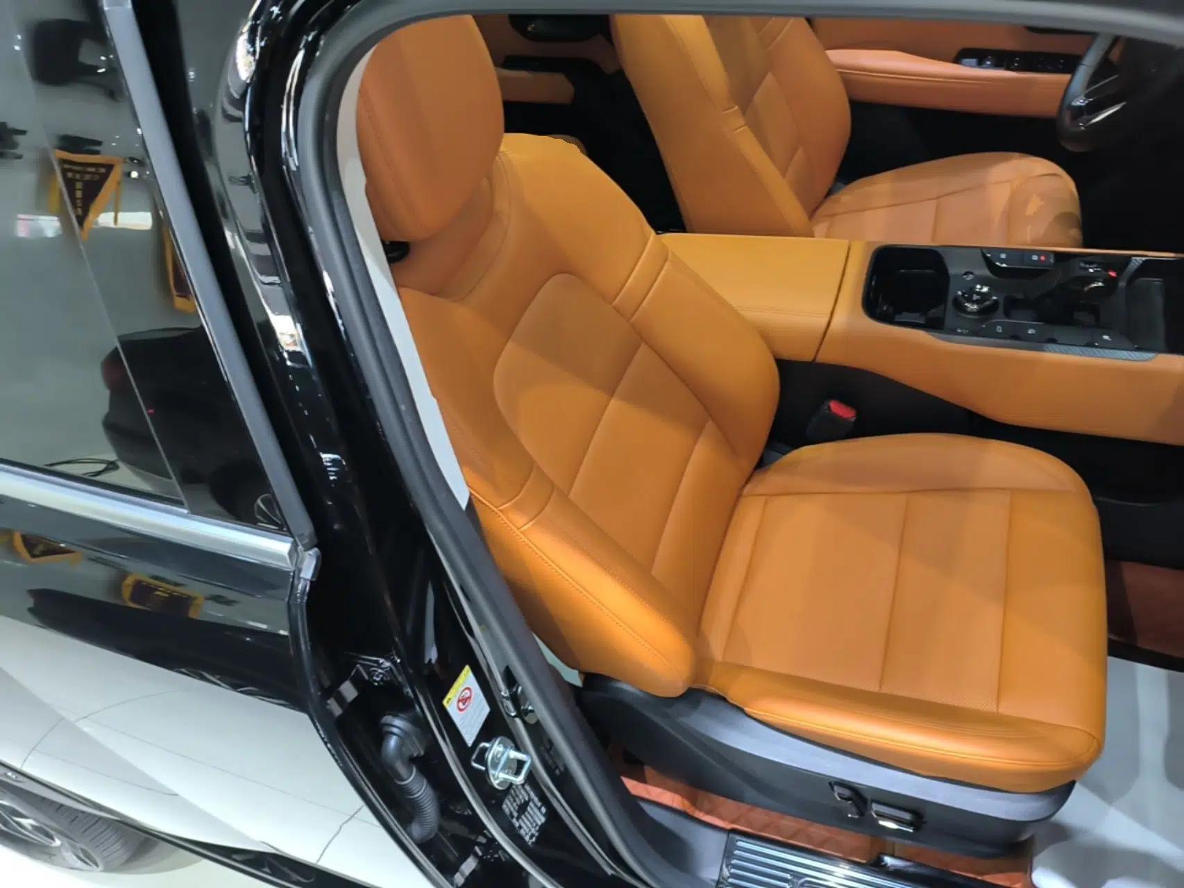 Haval H Dog New Energy 2023 DHT-PHEV 105km Tide Electric Version Plus — миниатюра 19