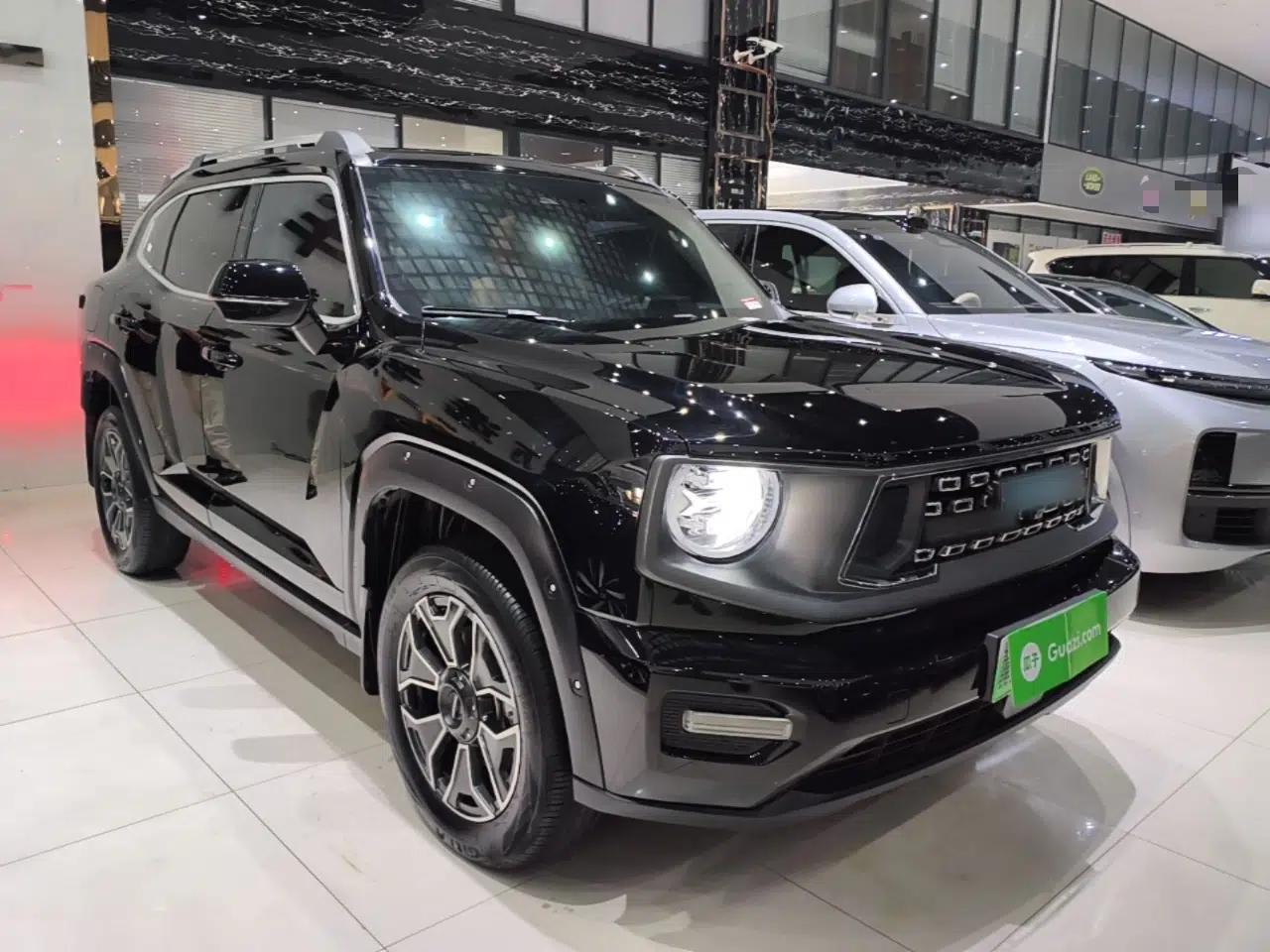 Haval H Dog New Energy 2023 DHT-PHEV 105km Tide Electric Version Plus — миниатюра 3