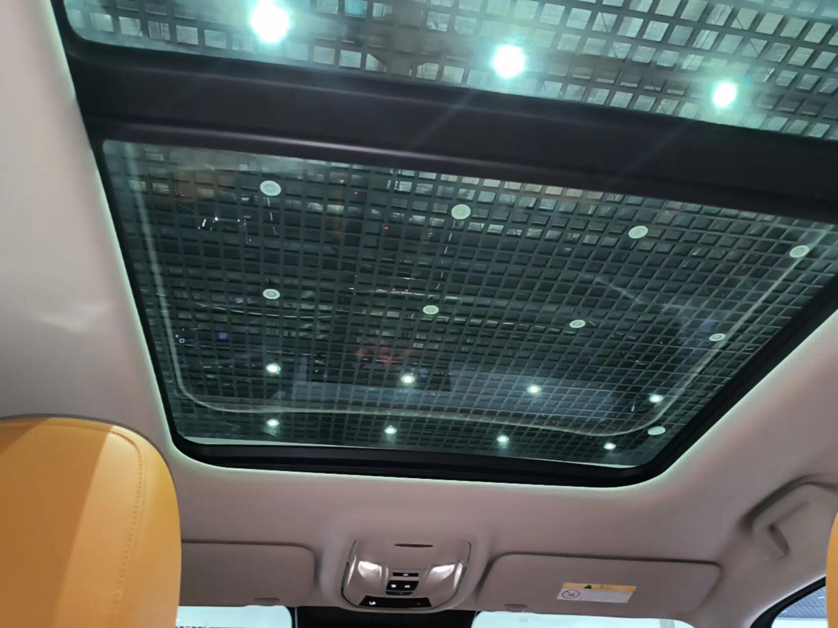 Haval H Dog New Energy 2023 DHT-PHEV 105km Tide Electric Version Plus — миниатюра 21