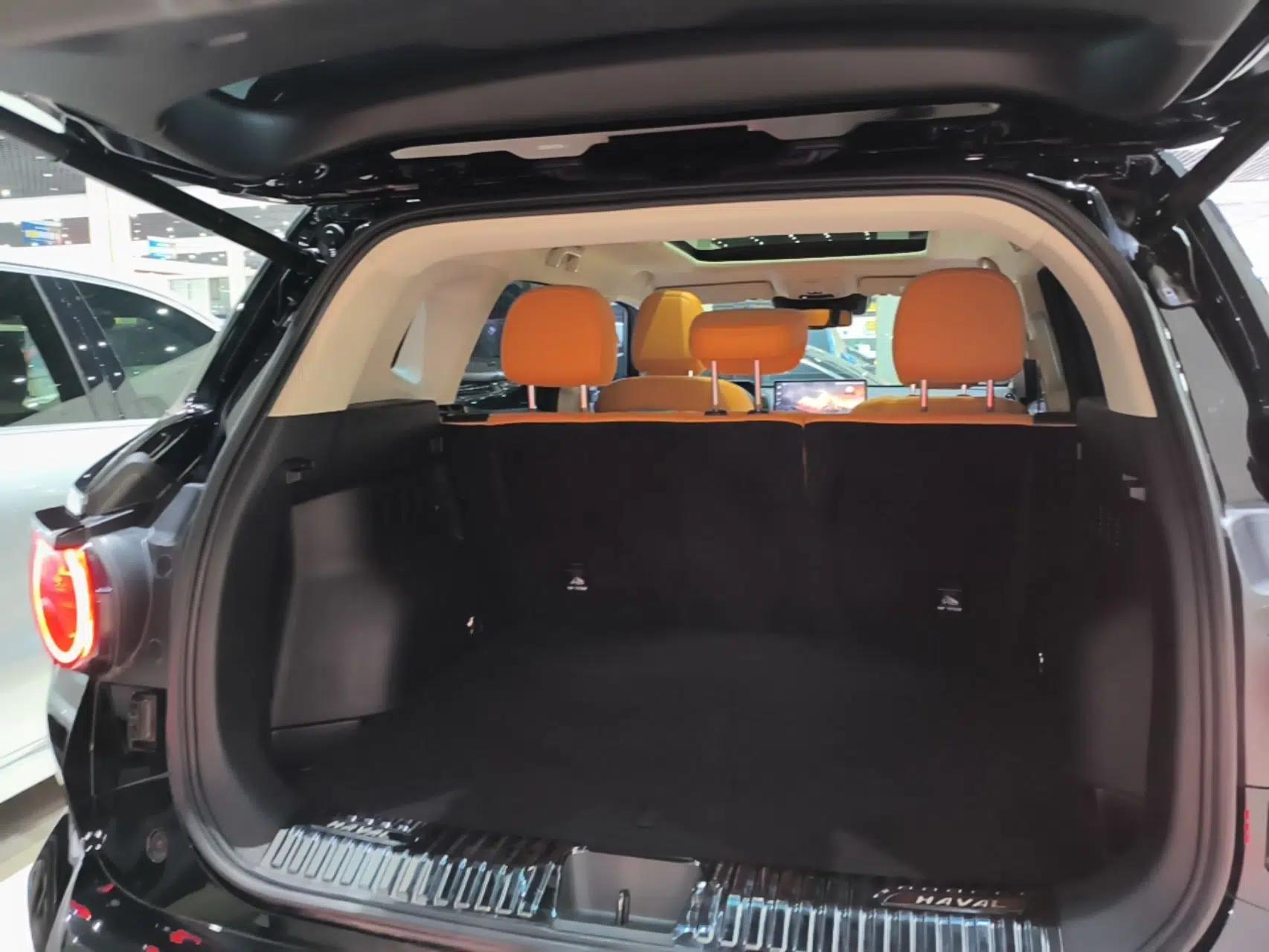 Haval H Dog New Energy 2023 DHT-PHEV 105km Tide Electric Version Plus — миниатюра 22