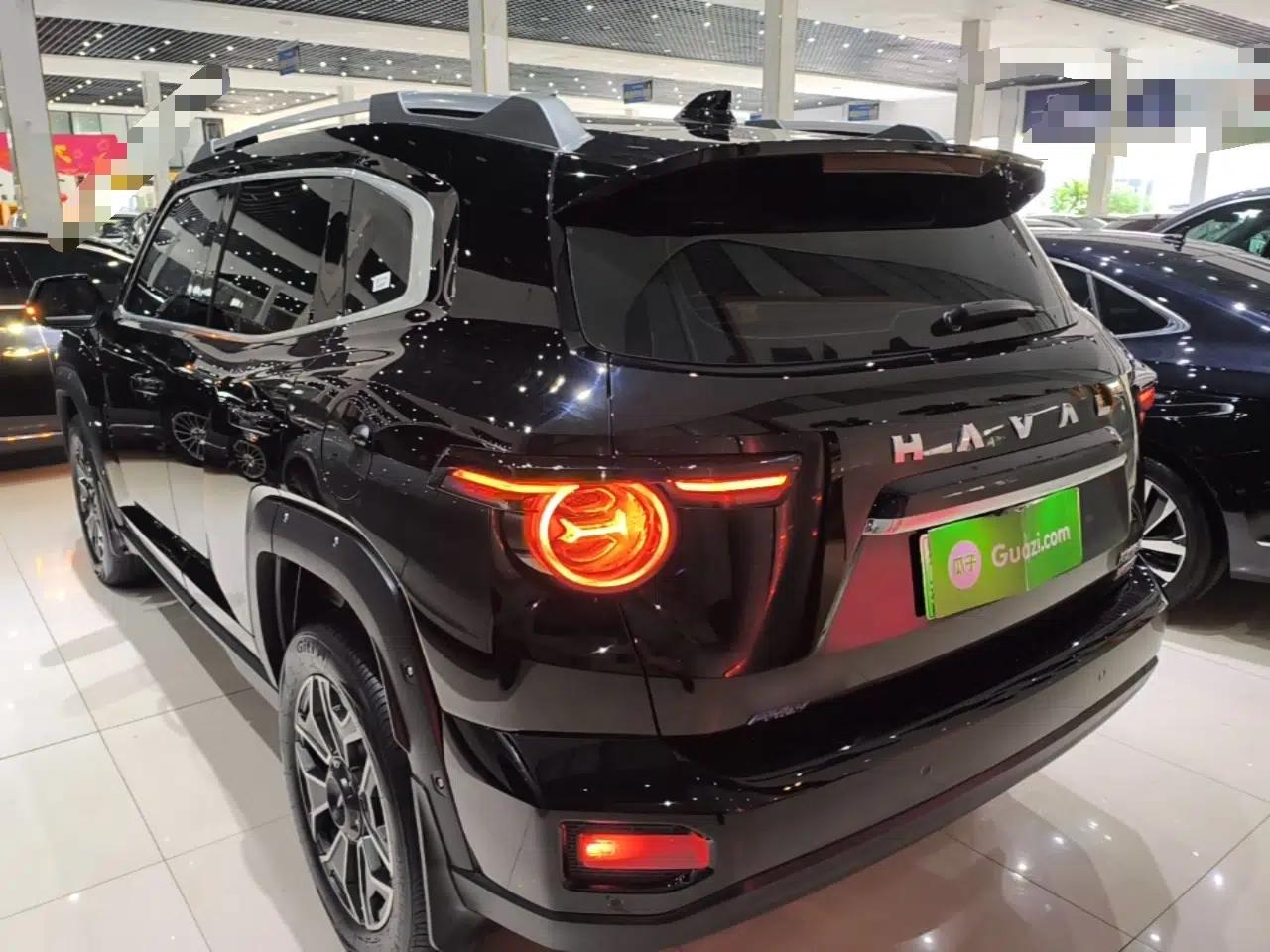 Haval H Dog New Energy 2023 DHT-PHEV 105km Tide Electric Version Plus — миниатюра 4
