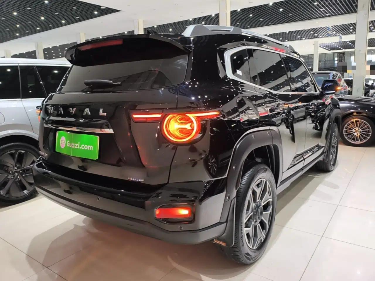 Haval H Dog New Energy 2023 DHT-PHEV 105km Tide Electric Version Plus — миниатюра 6