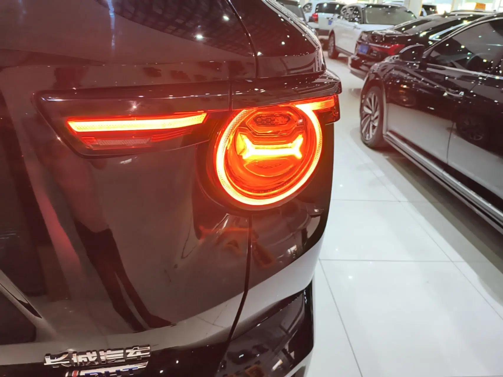 Haval H Dog New Energy 2023 DHT-PHEV 105km Tide Electric Version Plus — миниатюра 9