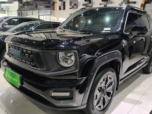 Haval H Dog New Energy 2023 DHT-PHEV 105km Tide Electric Version Plus