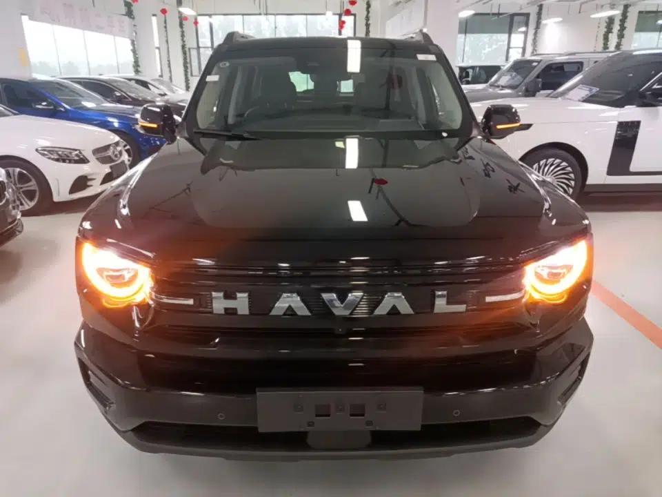 Haval H Dog New Energy 2026 Model Hi4 150km Trendy Electric Edition — миниатюра 2