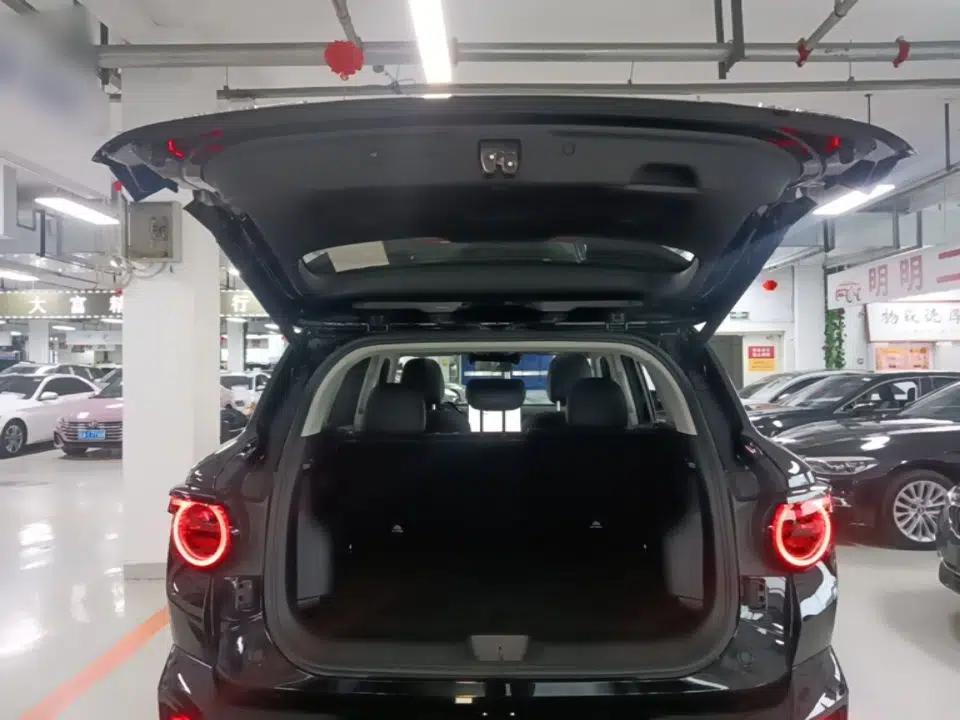Haval H Dog New Energy 2026 Model Hi4 150km Trendy Electric Edition — миниатюра 27