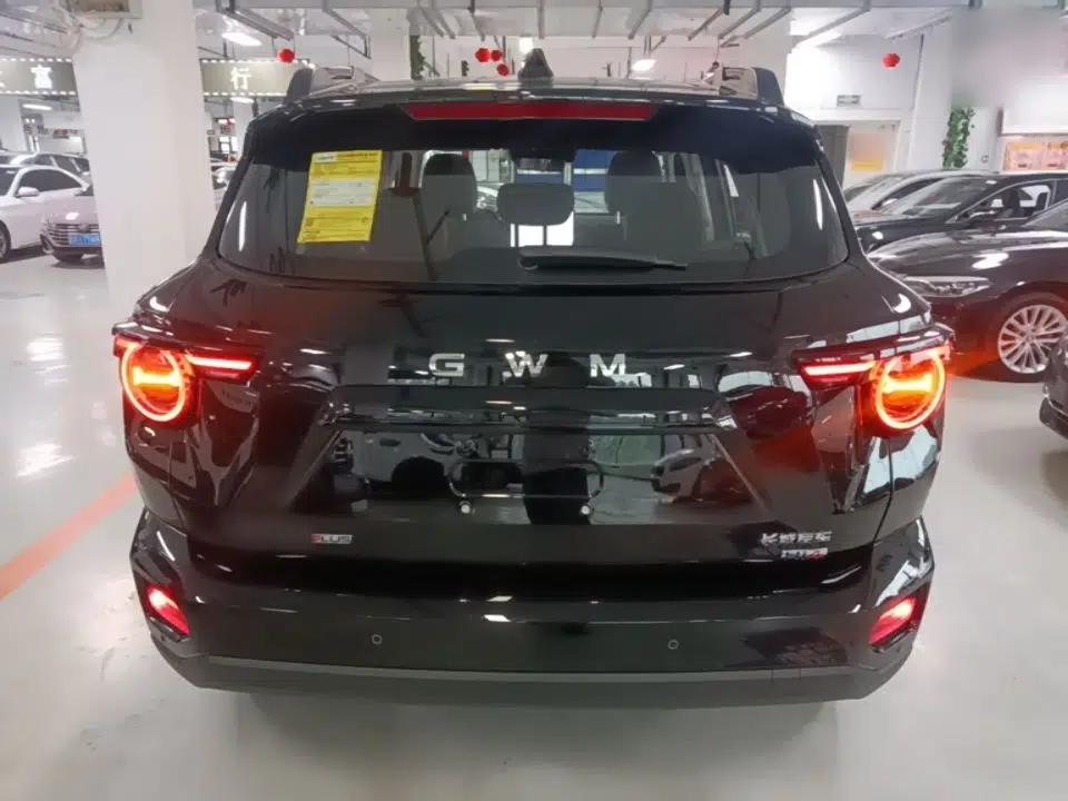 Haval H Dog New Energy 2026 Model Hi4 150km Trendy Electric Edition — миниатюра 5