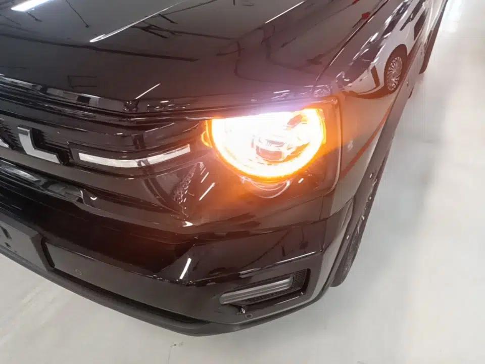 Haval H Dog New Energy 2026 Model Hi4 150km Trendy Electric Edition — миниатюра 8