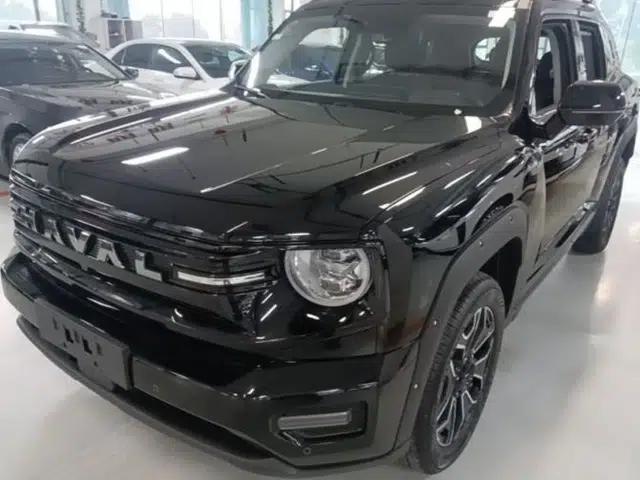 Haval H Dog New Energy 2026 Model Hi4 150km Trendy Electric Edition