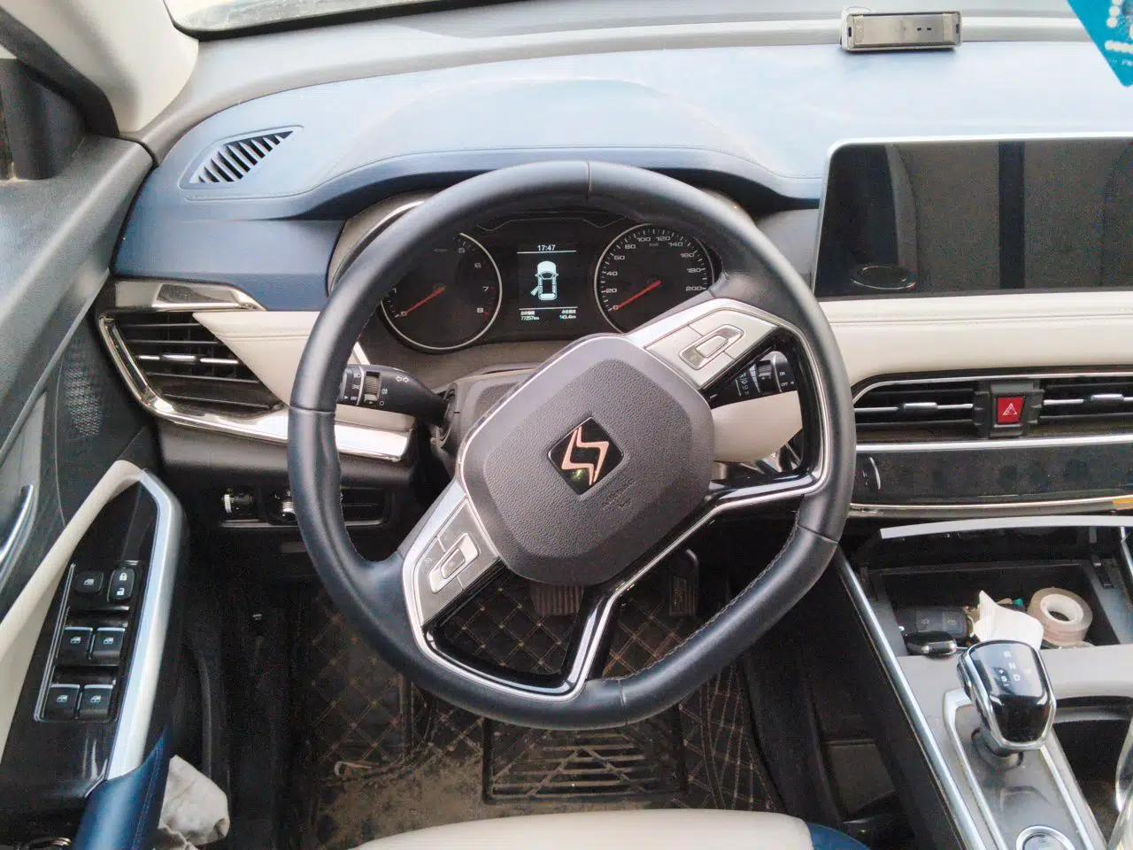 SOL X8 2022 Da Sheng Edition 300T DCT Xingzhe Model 7 Seats — миниатюра 10