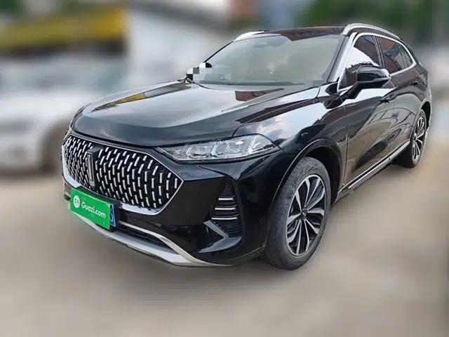 Wey Mocha 2021 2.0T Two-Wheel-Drive Premium Edition