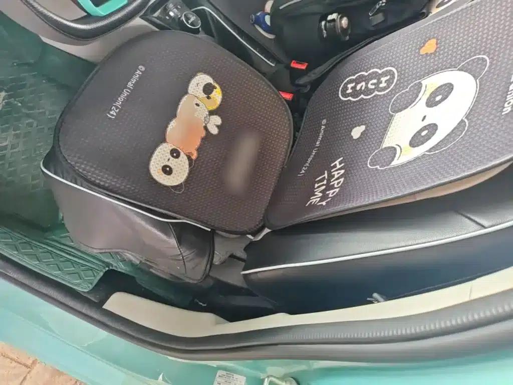 Yizhi EV2 2023 Auspicious Edition 201km Comfort Model — миниатюра 15