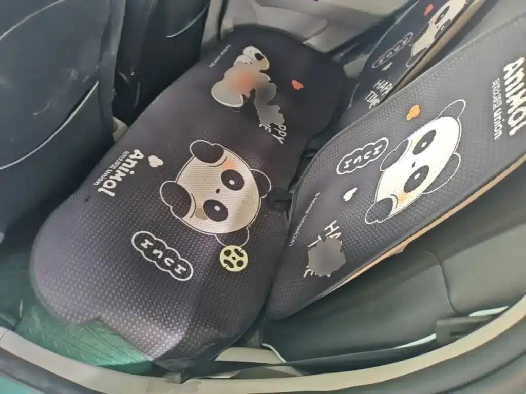 Yizhi EV2 2023 Auspicious Edition 201km Comfort Model — миниатюра 17
