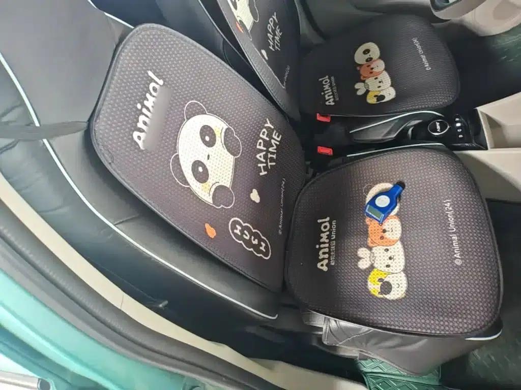 Yizhi EV2 2023 Auspicious Edition 201km Comfort Model — миниатюра 25