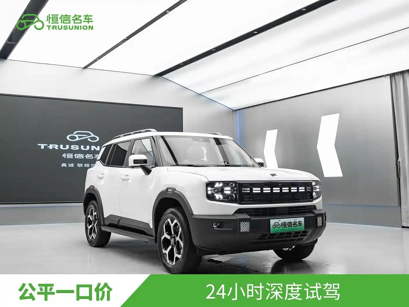 Jetour Mountain & Sea T1 2024 Model 150km Coastal — миниатюра 3