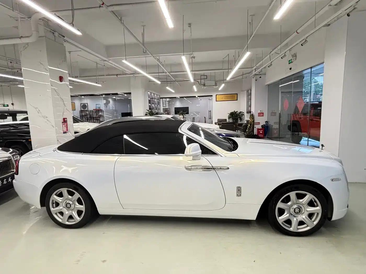 2018 Dawn 6.6T Standard Edition — миниатюра 3