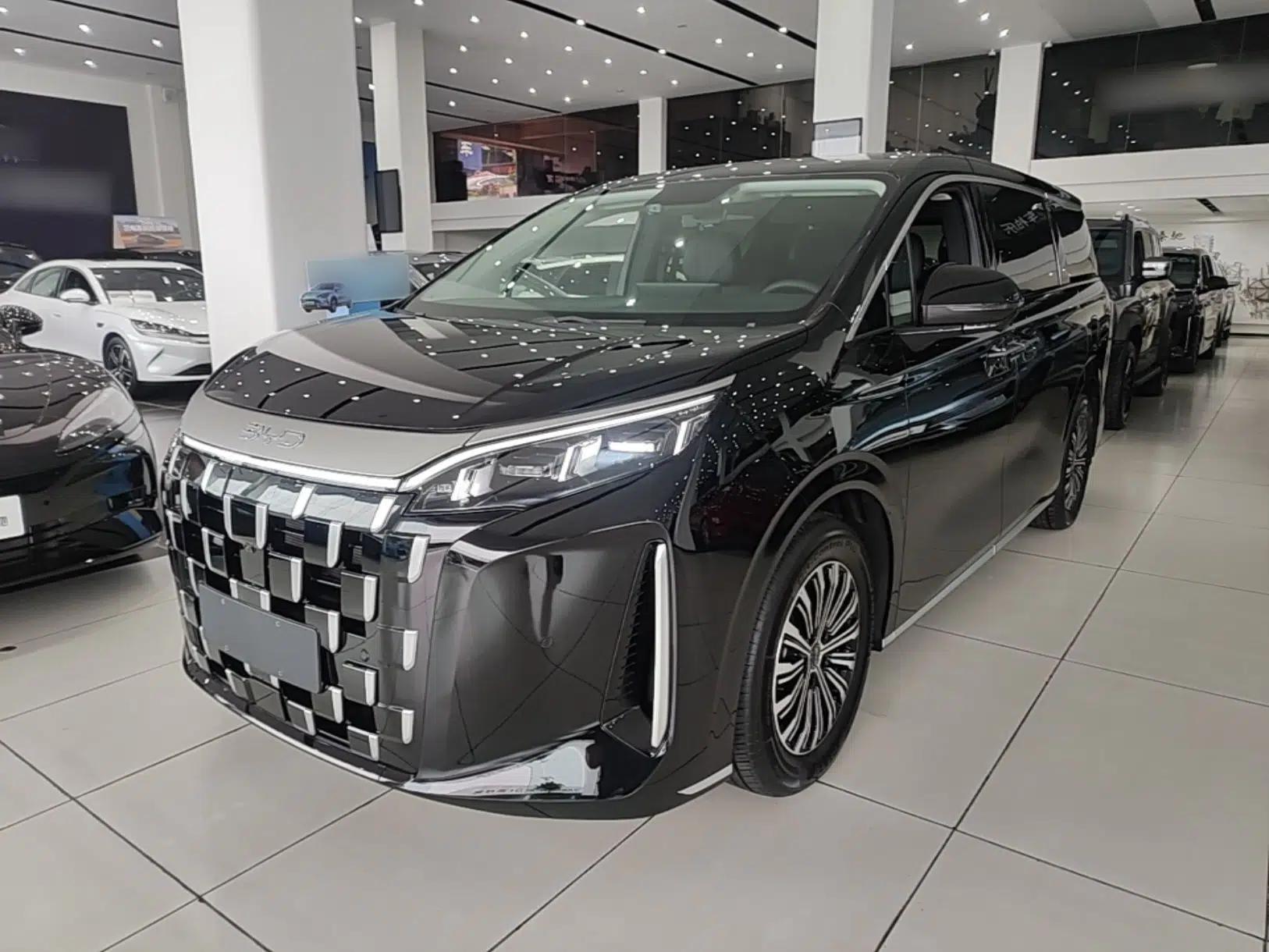 BYD M9 2025 1060 Navigation Edition — миниатюра 1