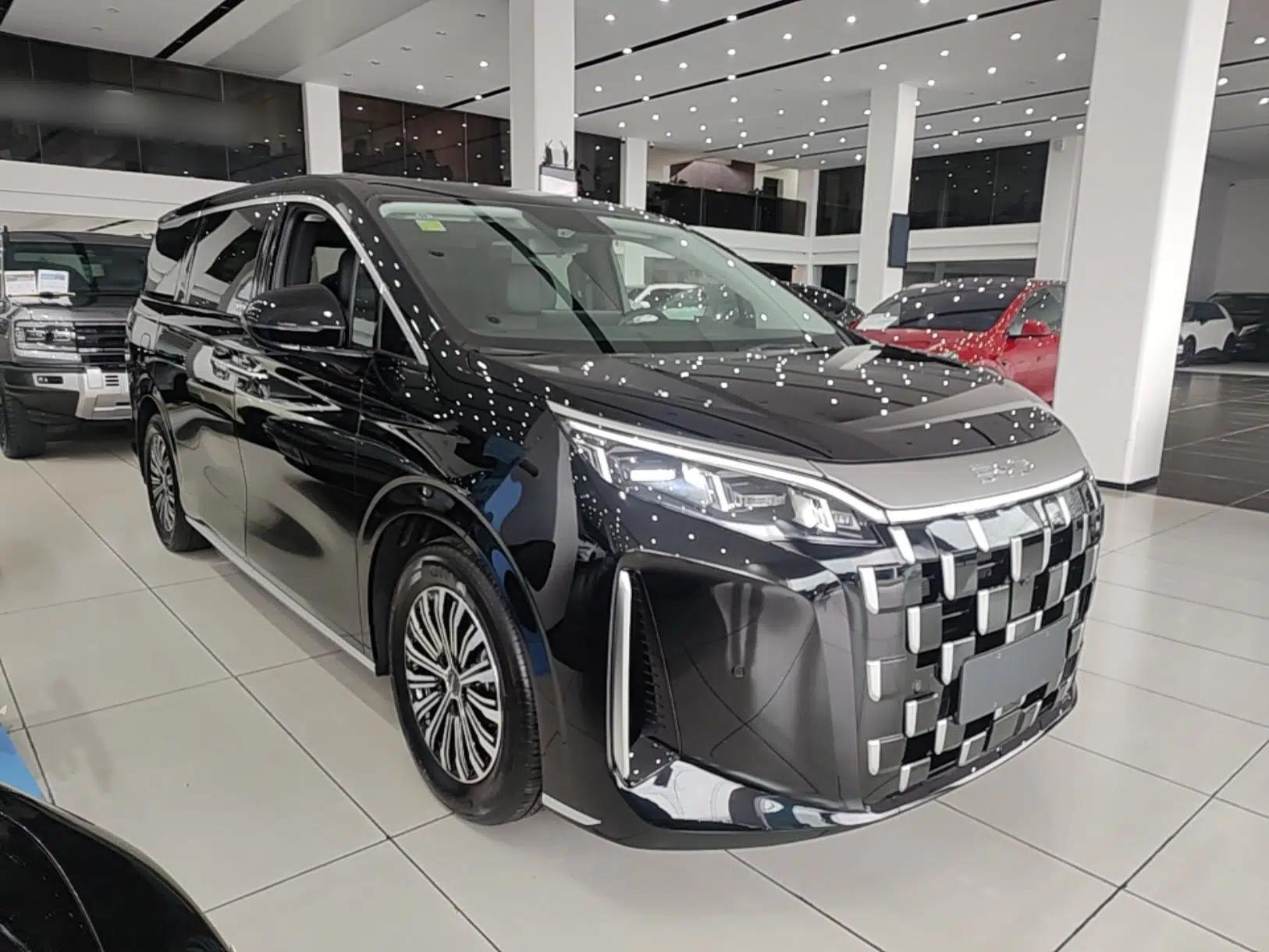 BYD M9 2025 1060 Navigation Edition — миниатюра 3