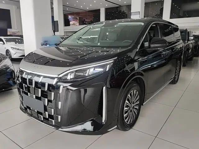 BYD M9 2025 1060 Navigation Edition