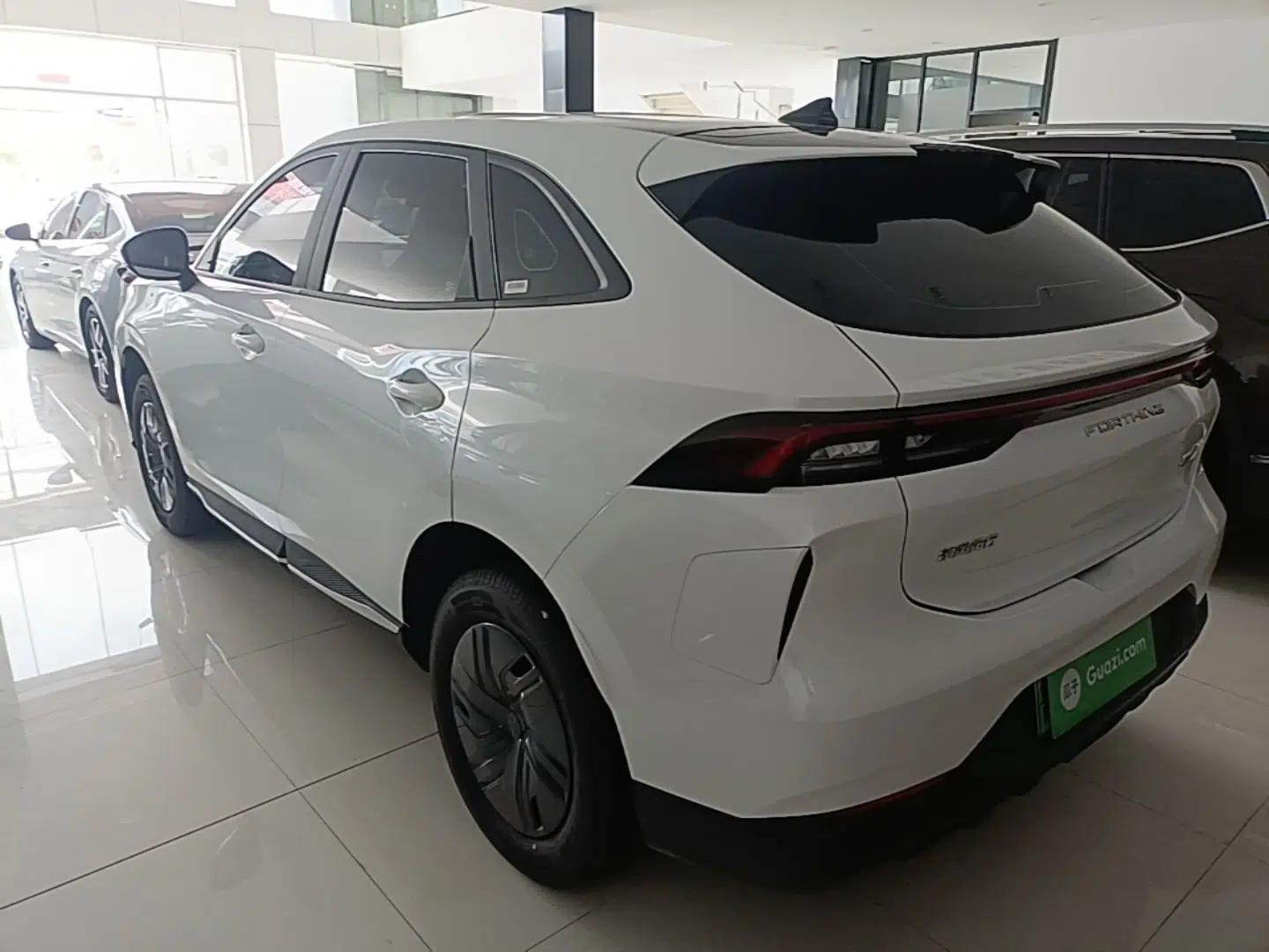 FORTHING Xinghai X5 2025 Model, 530 Executive Edition — миниатюра 4