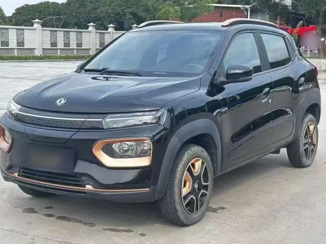 Dongfeng NAMMI BOX 2022 Revised Light Wind Edition 201 km Standard Version