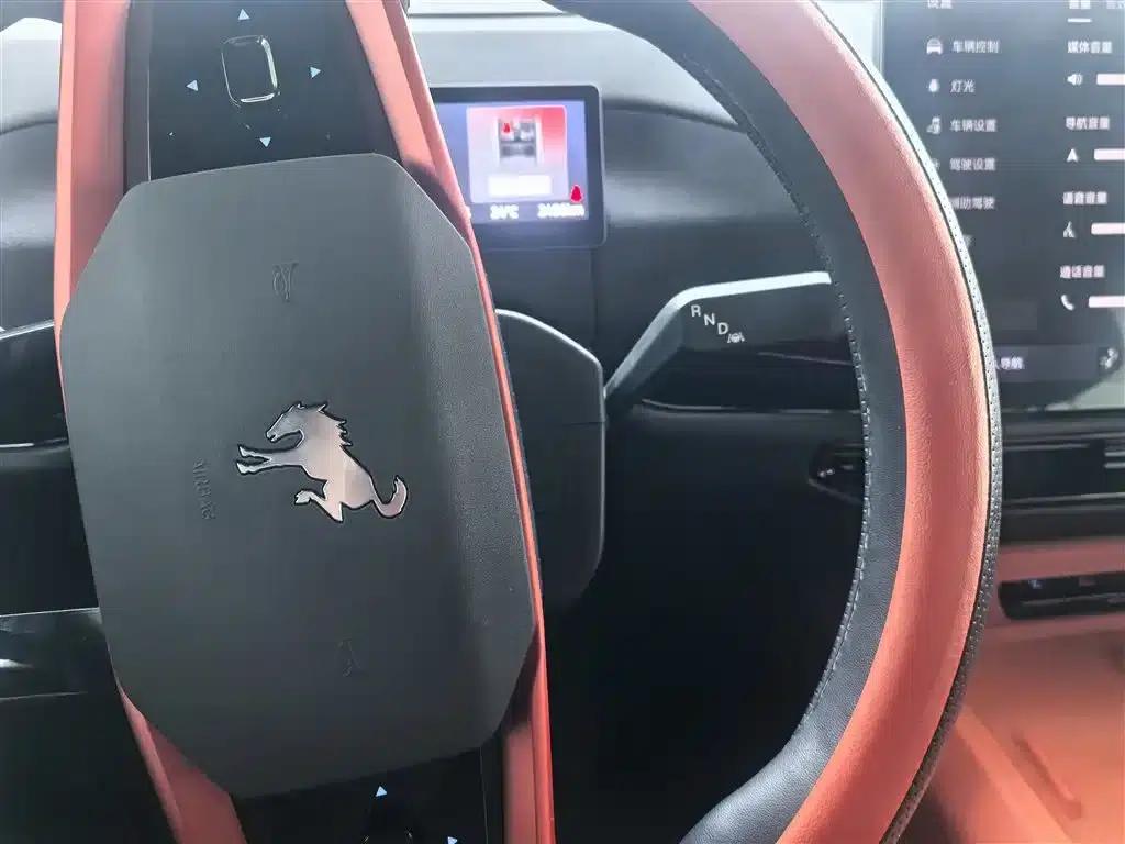 Ford Motor Romper 2026 Long Beach Extended Range — миниатюра 12