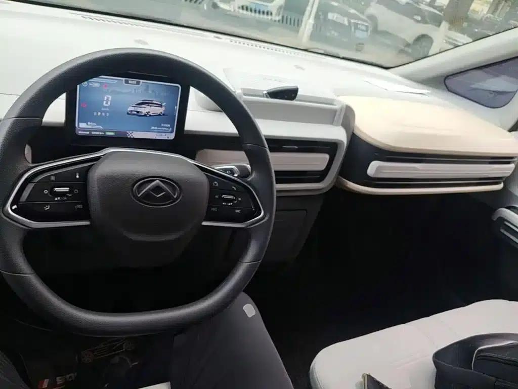 Dana V1 2023 Model, V1 Short Wheelbase Low Roof (42kWh) — миниатюра 10