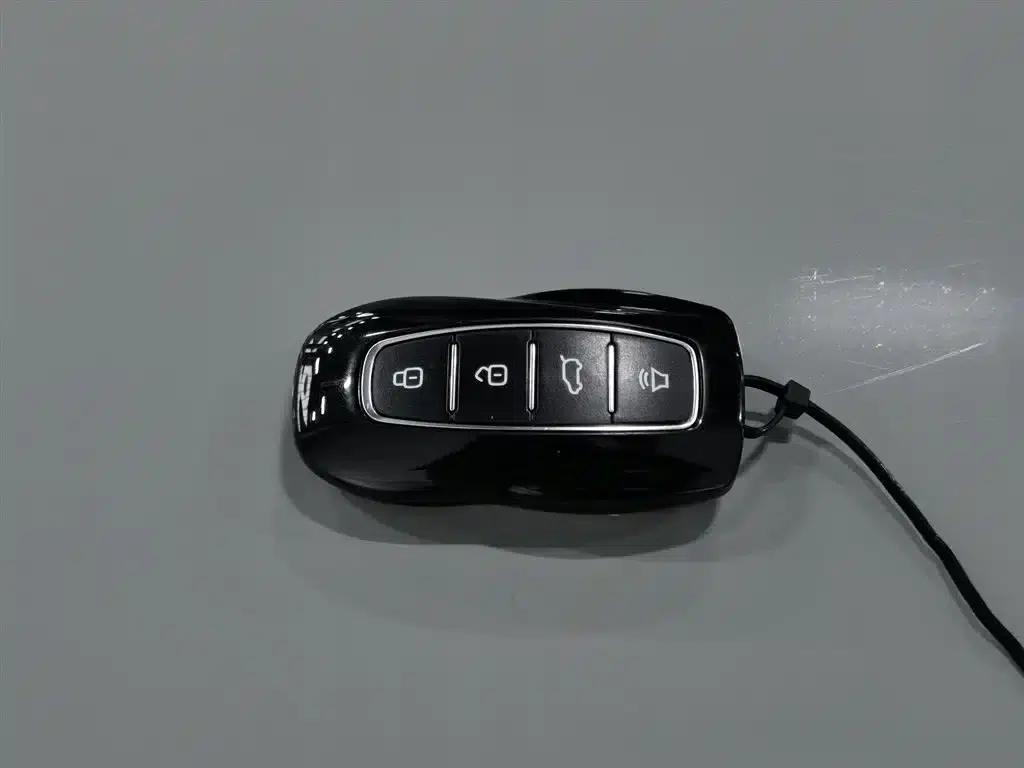 Lingrui New Energy 2025 Premium PLUS — миниатюра 19
