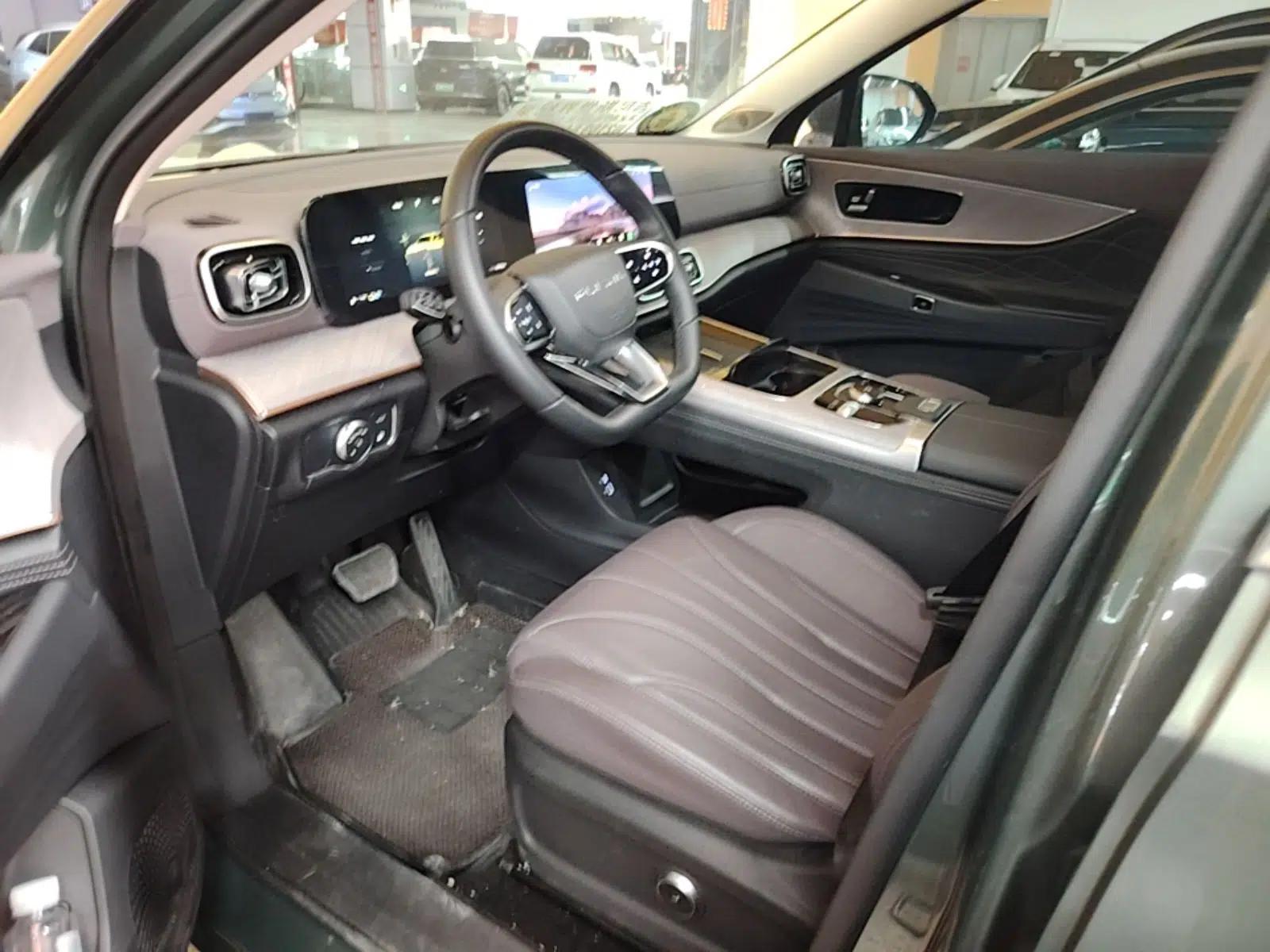 Chery Fengyun T10 2024 210 Luxury Edition — миниатюра 17