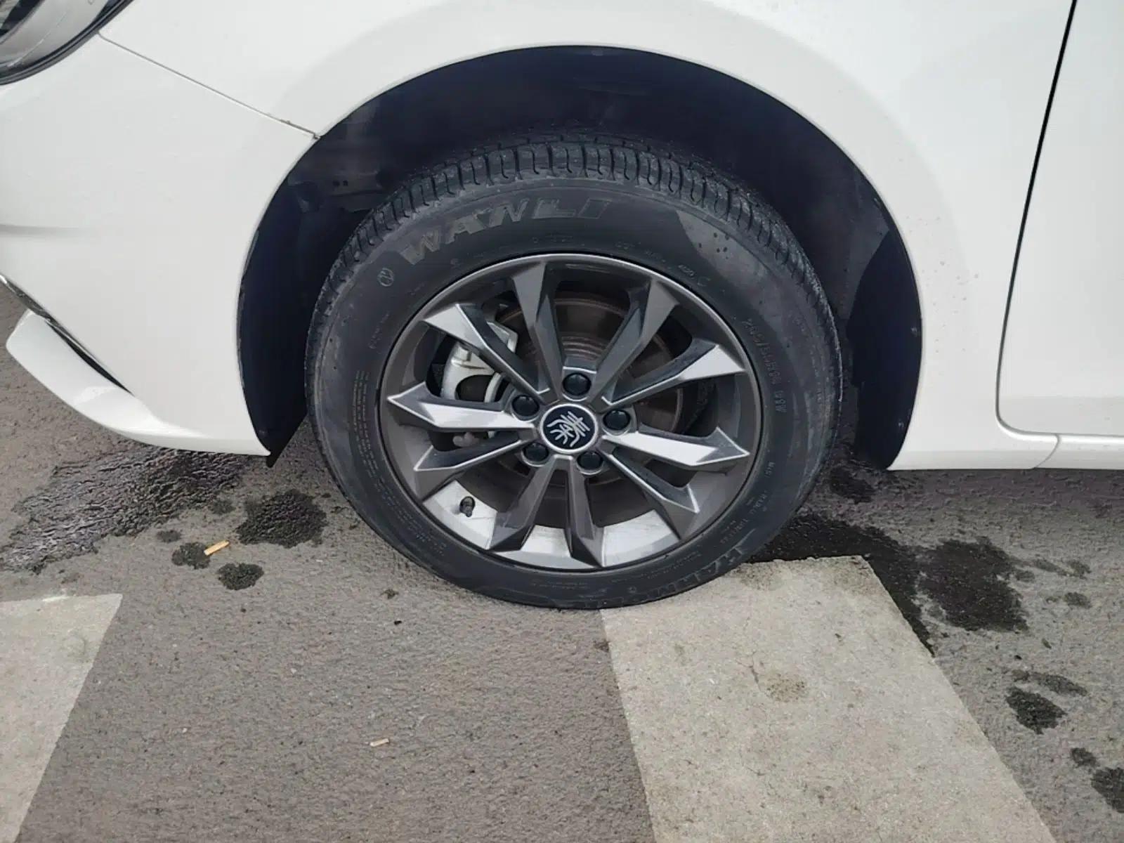 BYD Qin 2019 1.5L Automatic Luxury Model — миниатюра 10