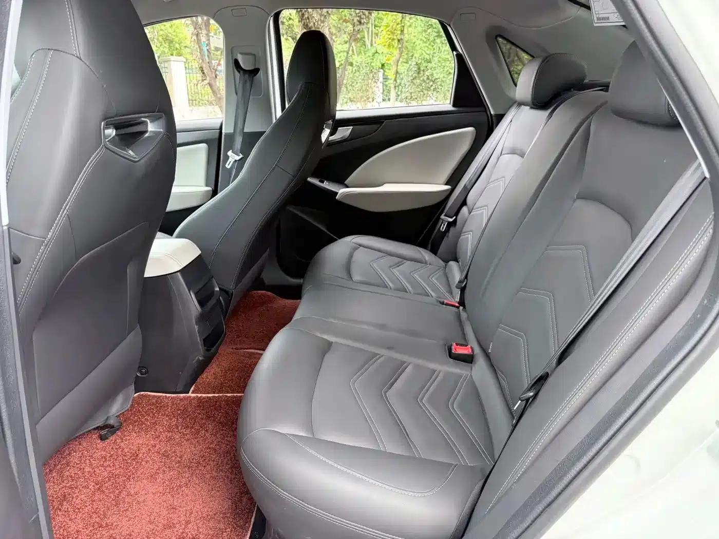 Sylphy EV 2024 Maika Travel Edition — миниатюра 13