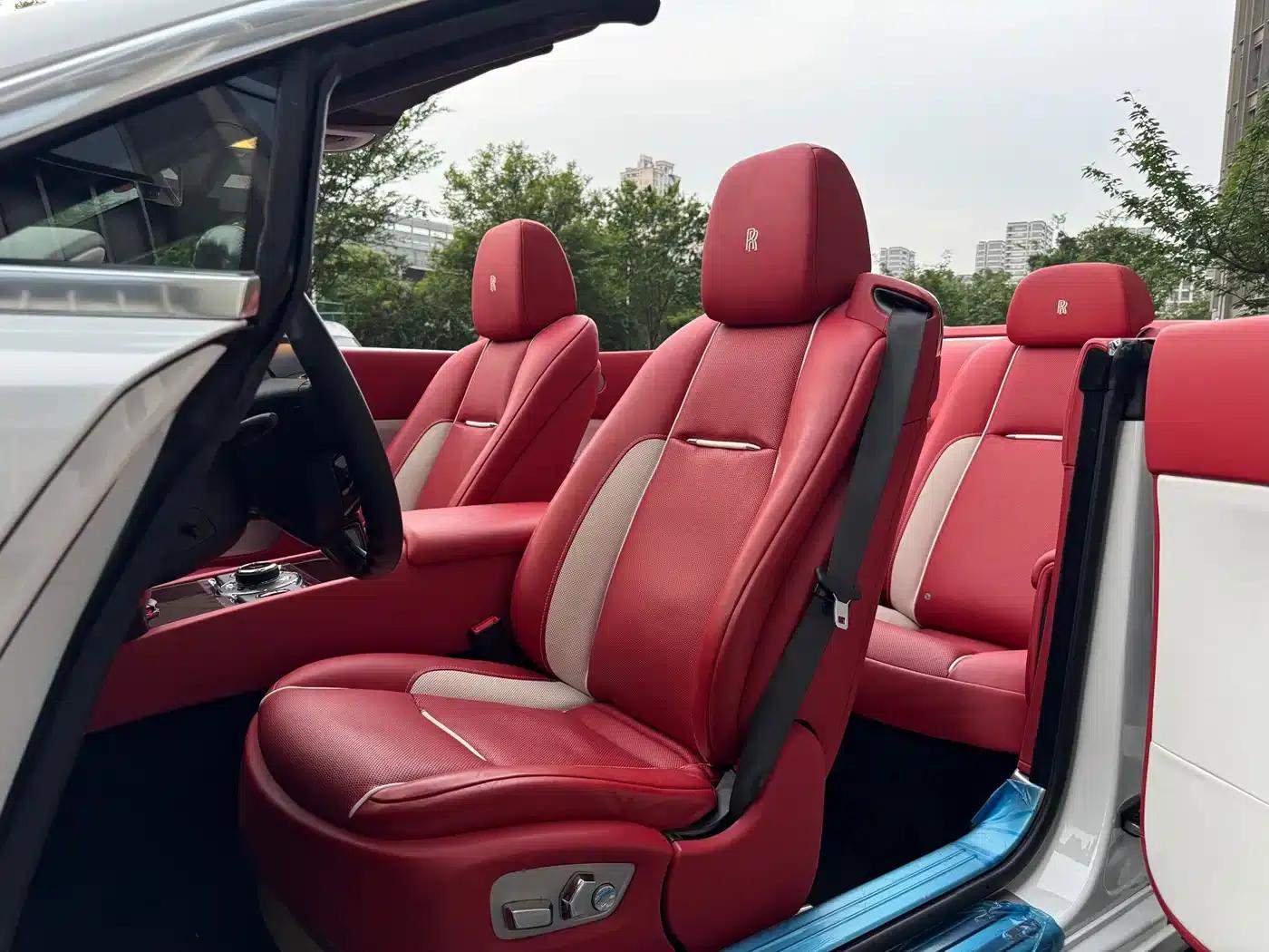 2018 Dawn 6.6T Standard Edition — миниатюра 12
