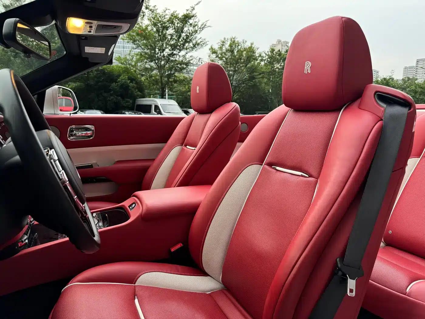 2018 Dawn 6.6T Standard Edition — миниатюра 13