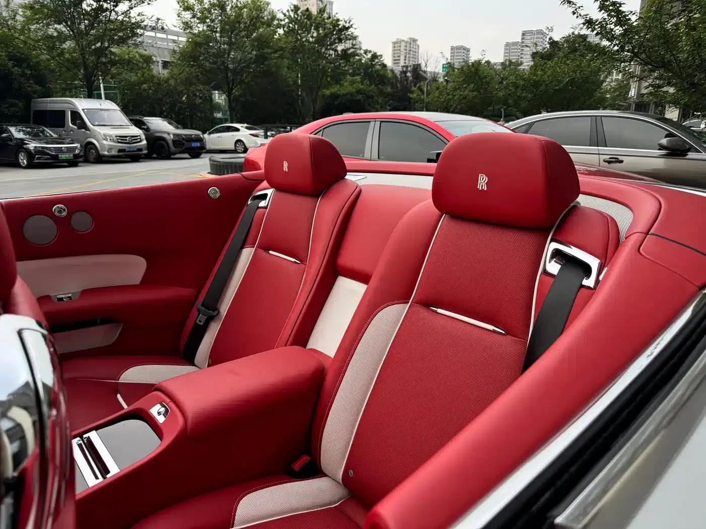 2018 Dawn 6.6T Standard Edition — миниатюра 14