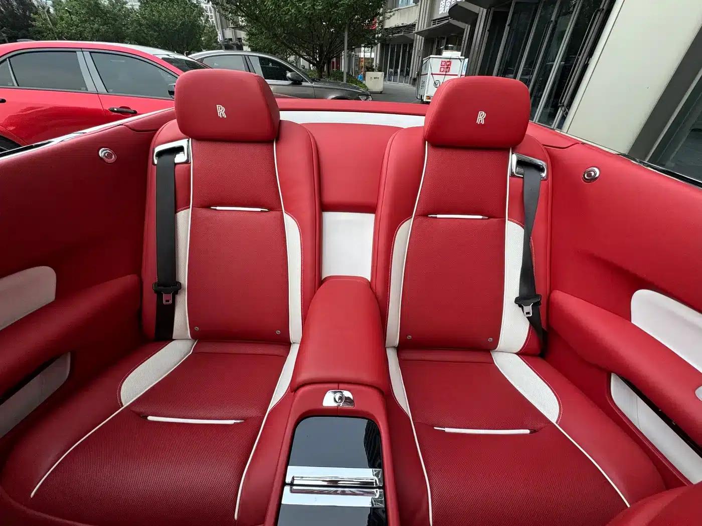 2018 Dawn 6.6T Standard Edition — миниатюра 15